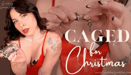 Caged for Christmas
