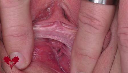Pussy Show! Main View.