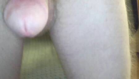 Cock to Look at