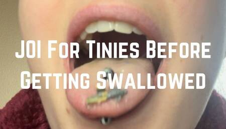 Giantess JOI For Tinies