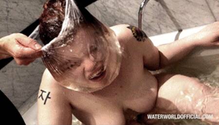 The Poppy Compilation