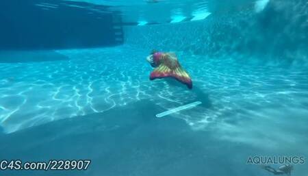 Sunni Ray Mermaid Coach