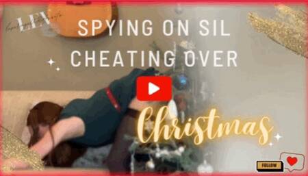Voyeur your SIL LeverageURAssets Cheating At Family Christmas Party - 301