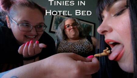 Tinies in Hotel Bed! - with Sara Star, Miss Devora Moore, and Jane Judge in an unaware giantess film ft stomping, boots, vore, and BBW boob smushing tiny man POV