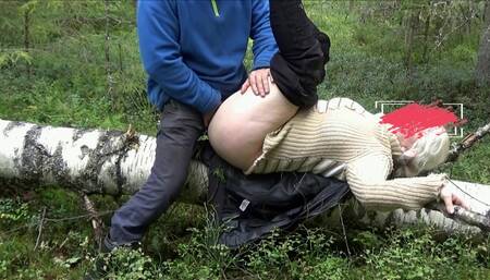 Cunning Forester Is Back in Action 5