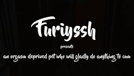 Rub against your master's leg and cum