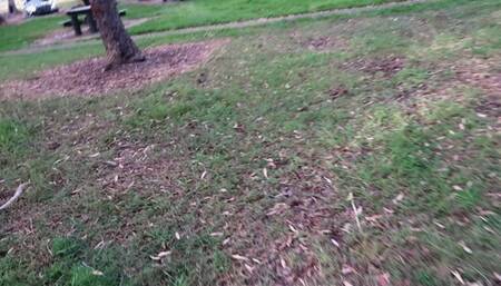 Picked up a Fan and blew his cock in my car