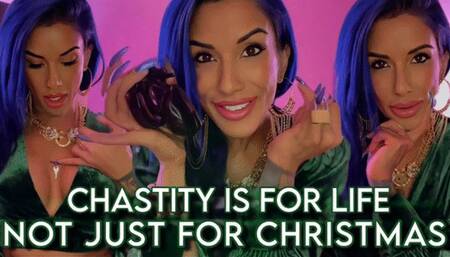 Chastity is For Life, Not Just For Christmas