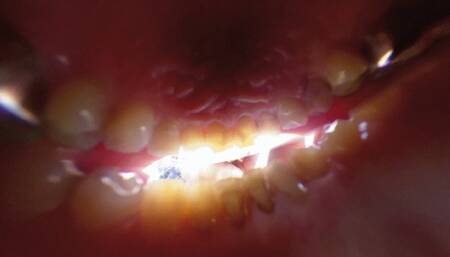 Meet Anastasia at the Rooftop 4K Version VR360