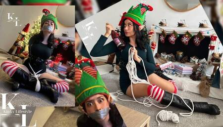 Christmas Special 2023: A Troubled Elf