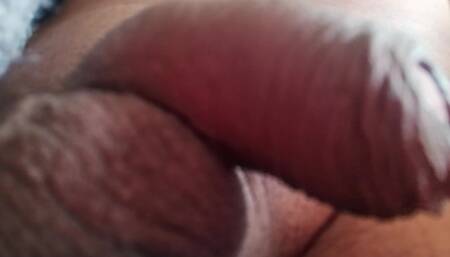 Had Fun with Land