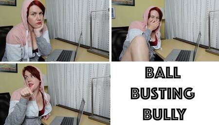 Ball Busting Bully (WMV)