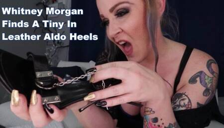 Whitney Morgan Finds A Tiny In Her Leather Aldo Heels - mp4