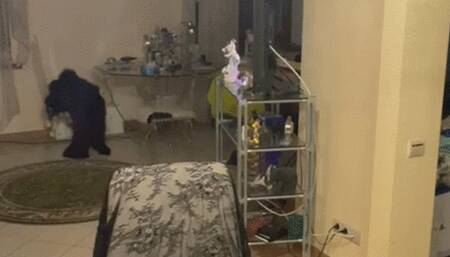 Robbie takes the stage