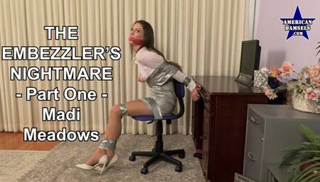 The Embezzler's Nightmare - Part One - Madi Meadows