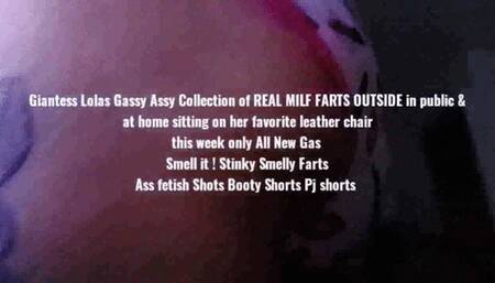 Giantess Lolas Gassy Assy Collection of REAL MILF FARTS OUTSIDE in public & at home sitting on her favorite leather chair this week only All New Gas Smell it ! Stinky Smelly Farts Ass fetish Shots Booty Shorts Pj shorts mkv
