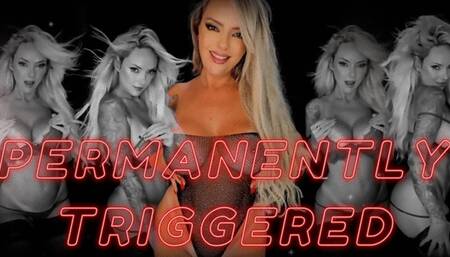 PERMANENTLY TRIGGERED