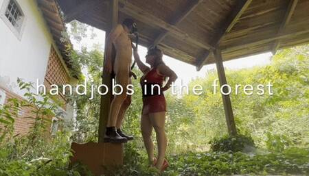 Handjobs in the forest