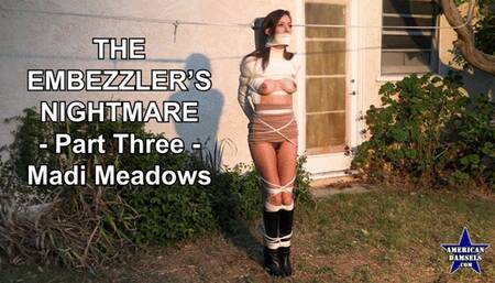The Embezzler's Nightmare - Part Three - Madi Meadows