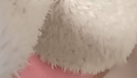 Guess who I am