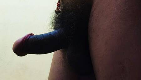 Desi Sexy Land