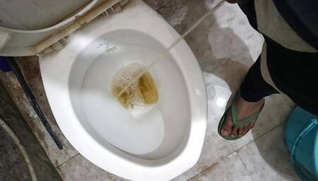 Peeing in Toilet with Clear Audio When Someone Asking for Comeback Soon