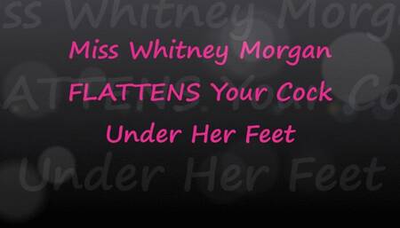 Whitney Morgan Flattens Your Cock Under Her Feet - wmv