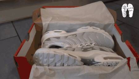 Brand new Nike TN Sneakers gets brand marks