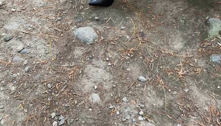 Kahina enjoys her walk through the forest of pain