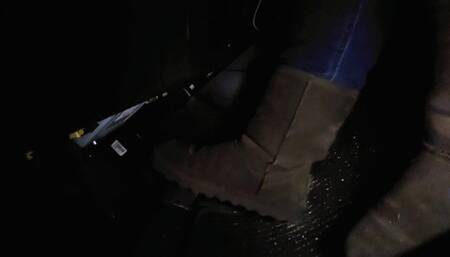 Driving in Brown Bearpaws