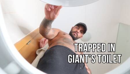 Trapped in giants toilet - Lalo Cortez