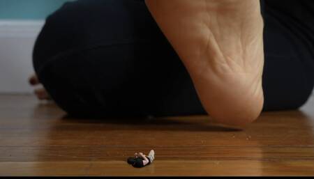 Daily Sacrifices: Starring Giantess Lierre