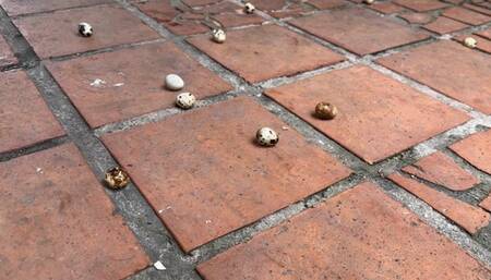 the pleasure of crushing Kahina y kalinda