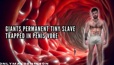 Giants permanent tiny slave trapped in penis vore