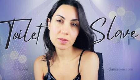 A toilet slave