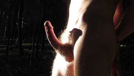 My Avatar in Motion - Outdoor Cock in Display