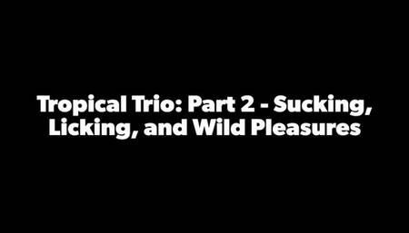 Tropical Trio: Part 2 - Sucking, Licking, and Wild Pleasures