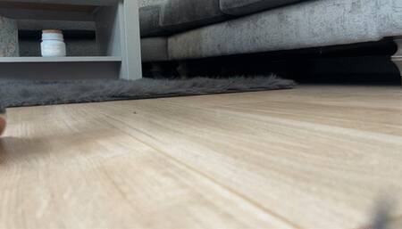 Giantess humiliates you