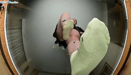 Bratty B dirty socks crush tinies - MP4
