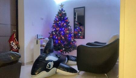 FETISH LOONER - BALLONS SHARK