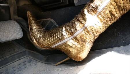 Girl pedal pumping, driving car in high heels