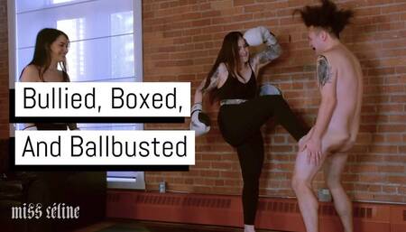 Bullied, Boxed, And Ballbusted | Ballbusting Sub Takes A Beating