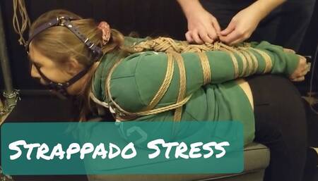 Strappado Stress