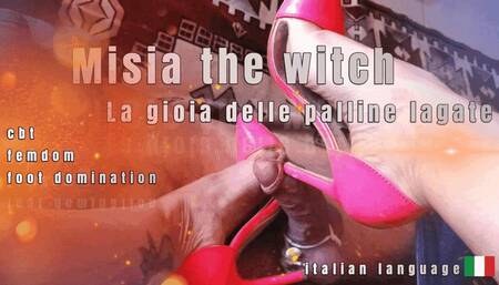 The joy of the tied nuts - La gioia delle palline legate