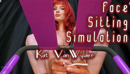 FaceSitting Simulation (MP4 1080P)