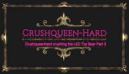 Crushing crush LED toy Bear in wooden Berkemann Sandals and nylons