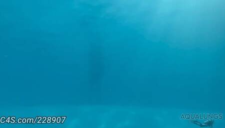 Entangled In Deep Water Bella Luxx