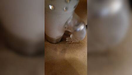 Slave with Vibrator Has to Do It Herself During the Demonstration