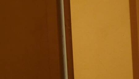 Sexy Maid catches Customer in room and ends up with a BIG cock in her mouth