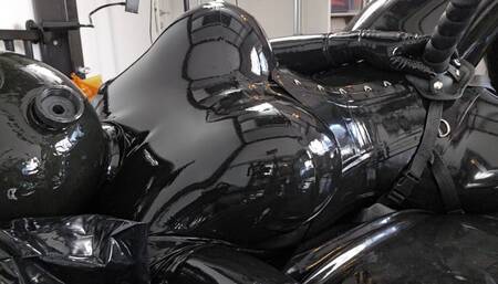 Ballhood & Strap-On love